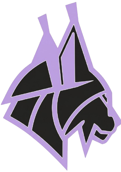 Lynx Learn
